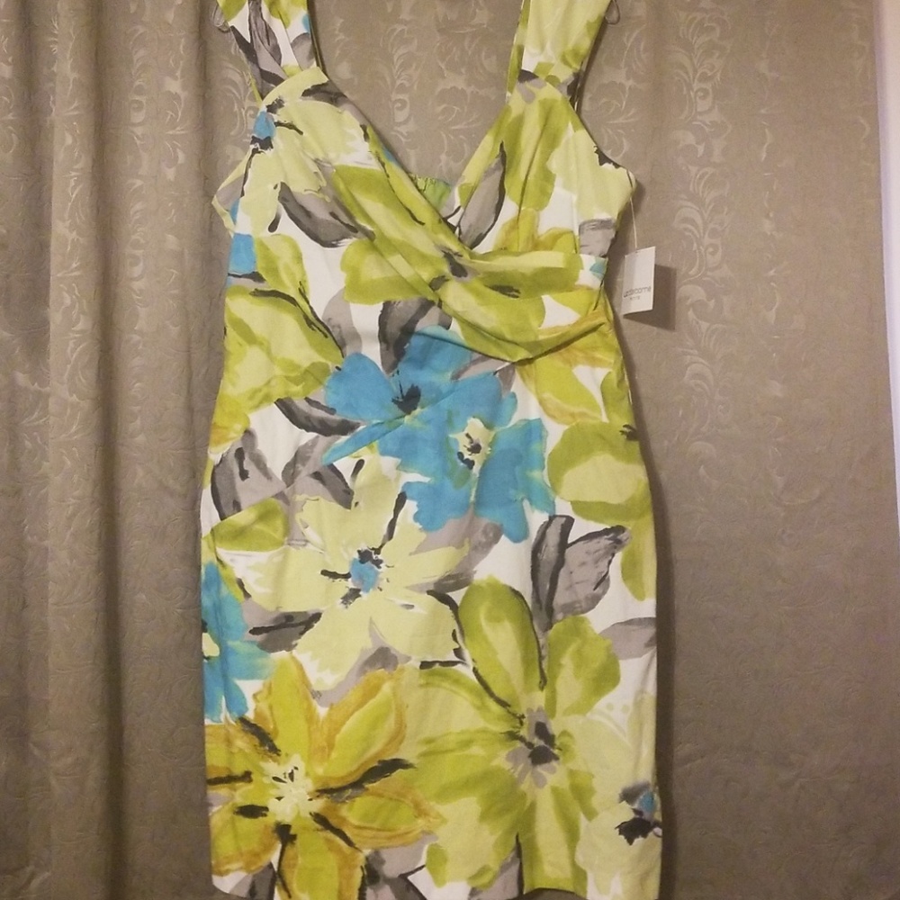 NWT Liz Claiborne Petite Dress, 16P